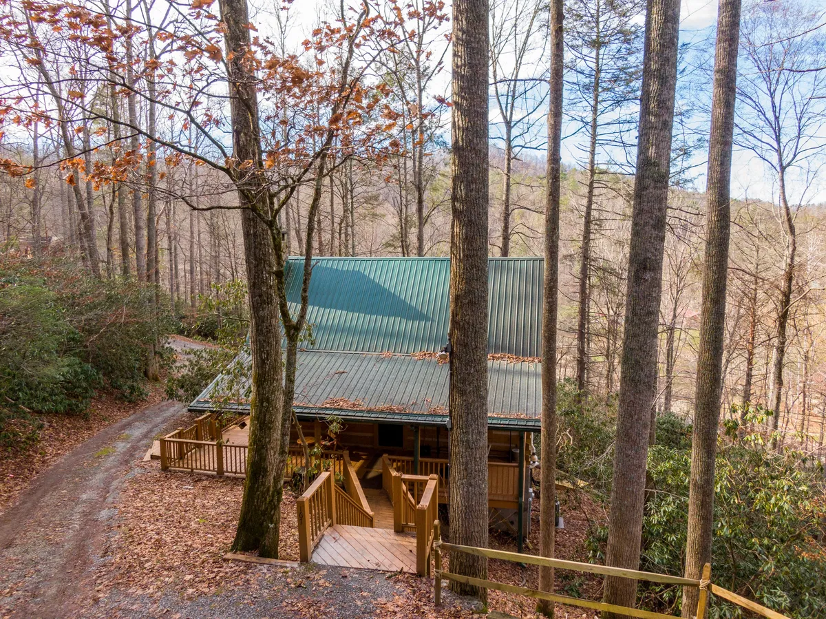 A peaceful view of the cabin with a green roof, wooden steps leading up through trees, and natural surroundings that evoke a sense of tranquility. The image hints at hiking trails and abundant nature, ideal for families and pets seeking outdoor experiences.